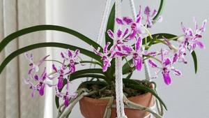 20200321_100856_resized (002).jpg