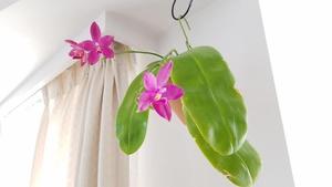 20200620_065827_resized (002).jpg