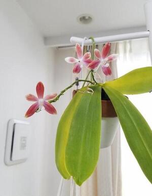 20200929_141850_resized (002).jpg