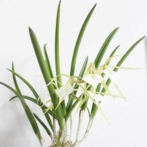 IMG_20201019_141310_298 (002).jpg