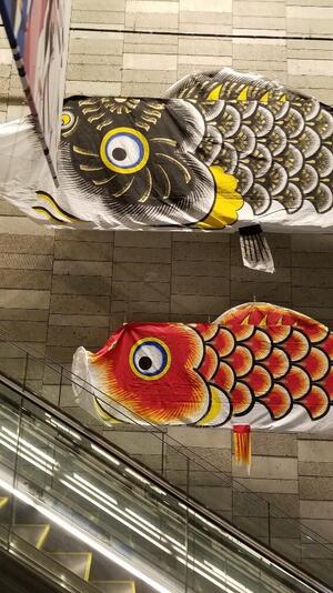 20210420_175621_resized (002).jpg