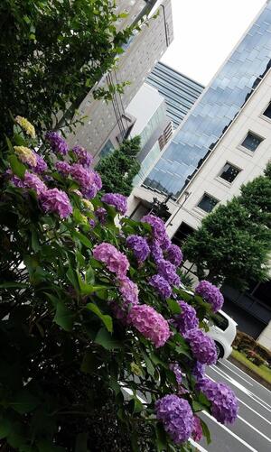 20210531_091846_resized (002).jpg