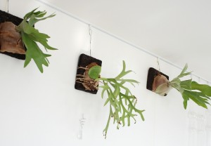 IMG_20170511_115148_117_resized