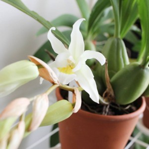 IMG_20180111_101347_265