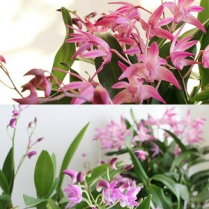 IMG_20180111_102610_resized