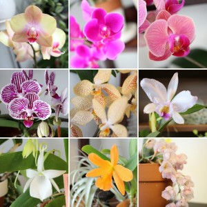 IMG_20180111_105218_resized_1