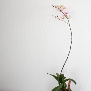 IMG_20180206_145801_822