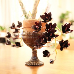 IMG_20180212_152758_456