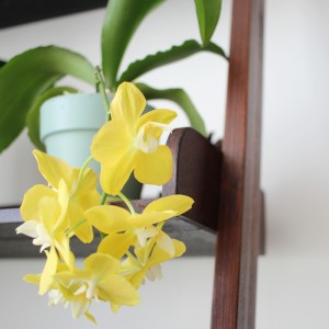 IMG_20180404_143439_347_resized