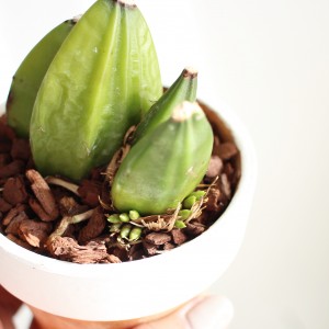 IMG_20180413_071726_912