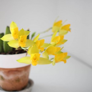 IMG_20180509_075544_709