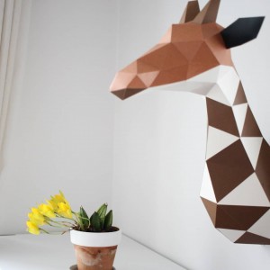 IMG_20180509_075544_710