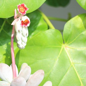 IMG_20180519_061700_790