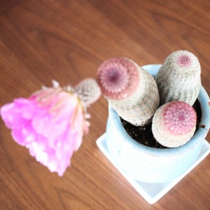 IMG_20180619_062932_485