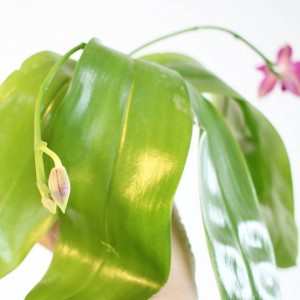 IMG_20180613_174815_039