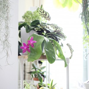 IMG_20180629_063934_179