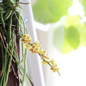 IMG_20180729_100514_029