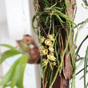 IMG_20180729_100514_033