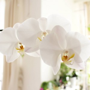 IMG_20180823_105018_816