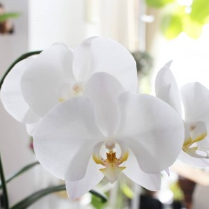 IMG_20180823_105018_819