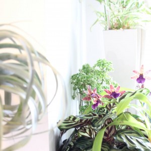 IMG_20181019_134012_152