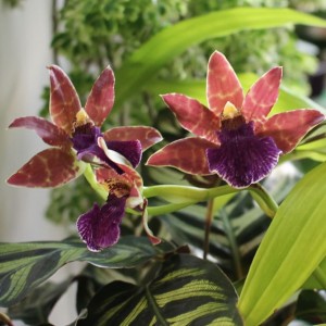 IMG_20181019_134012_153