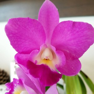 IMG_20181105_083813_935