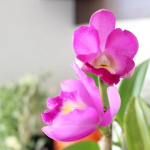 IMG_20181105_083813_938