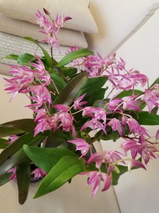 20190109_071443_resized