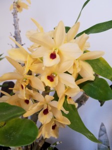 20190215_074013_resized