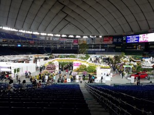 20190219_174903_resized