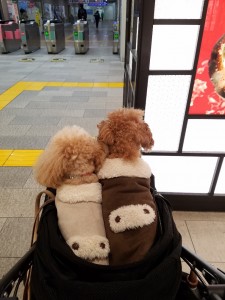 20190220_185730_resized