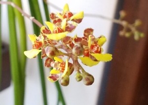 20190221_082733_resized